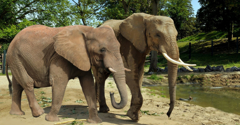 Ինչպե՞ս հիշել սովորածդ